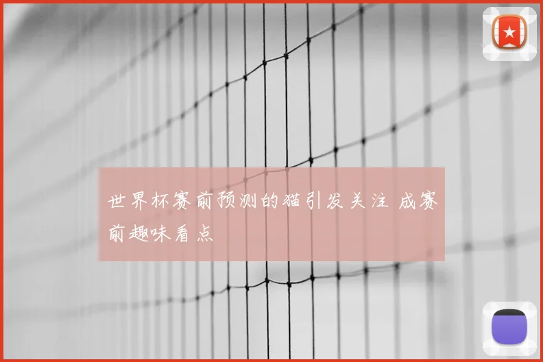 世界杯赛前预测的猫引发关注 成赛前趣味看点