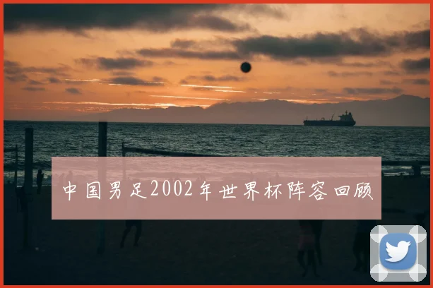 中国男足2002年世界杯阵容回顾